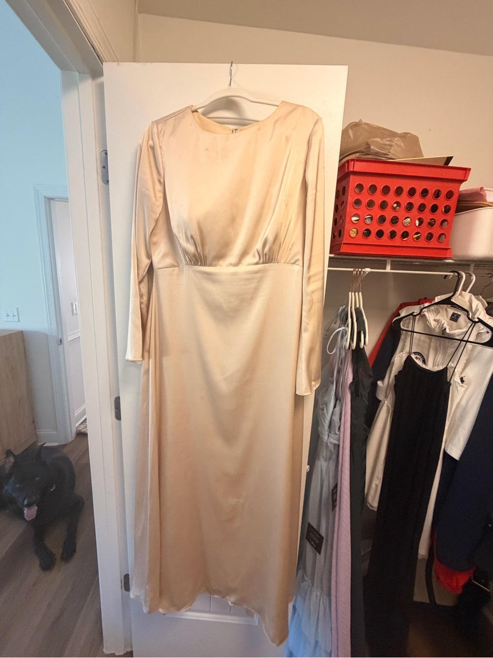 Long Sleeve Satin Maxi Dress in Champagne